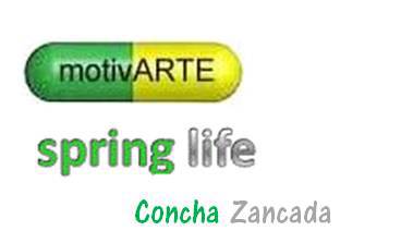 SPRING LIFE - PDF gratuito